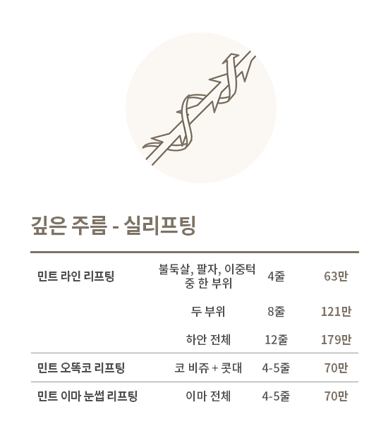 실리프팅 시술 가격표